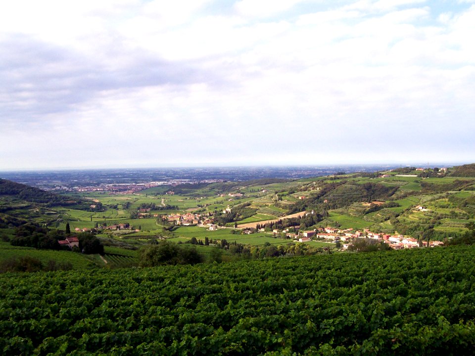 VedutaMarcellise