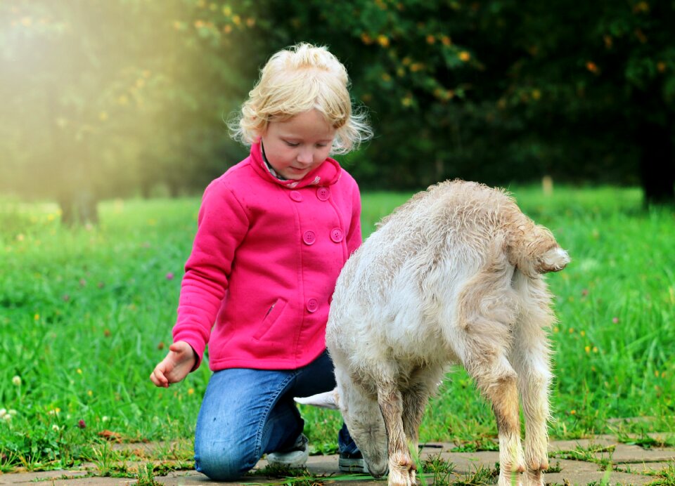 Dialogue communication kindness