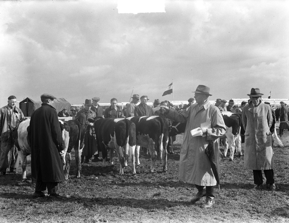 Vebo 1950 in Leiden Veetentoonstelling, Bestanddeelnr 904-1991