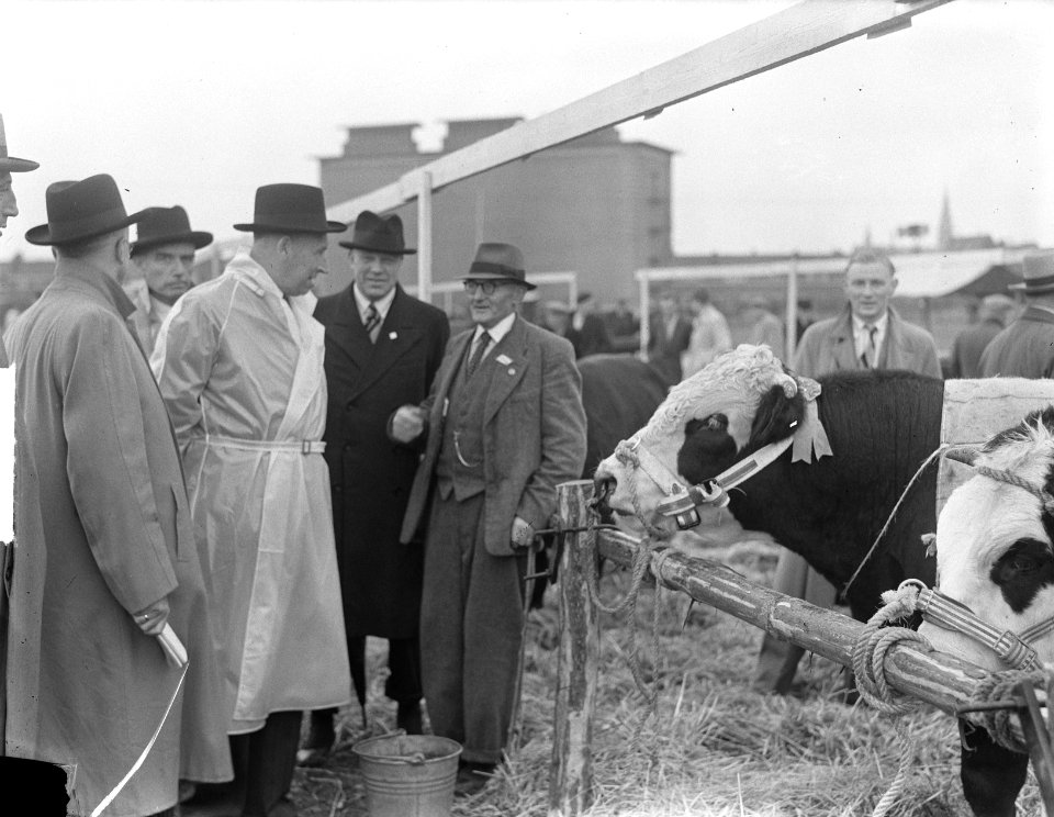 Vebo 1950 in Leiden Veetentoonstelling, Bestanddeelnr 904-1992