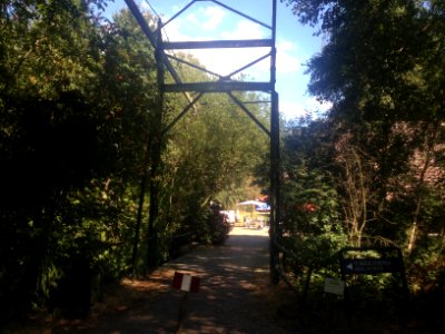 Veenpark natuur - 1