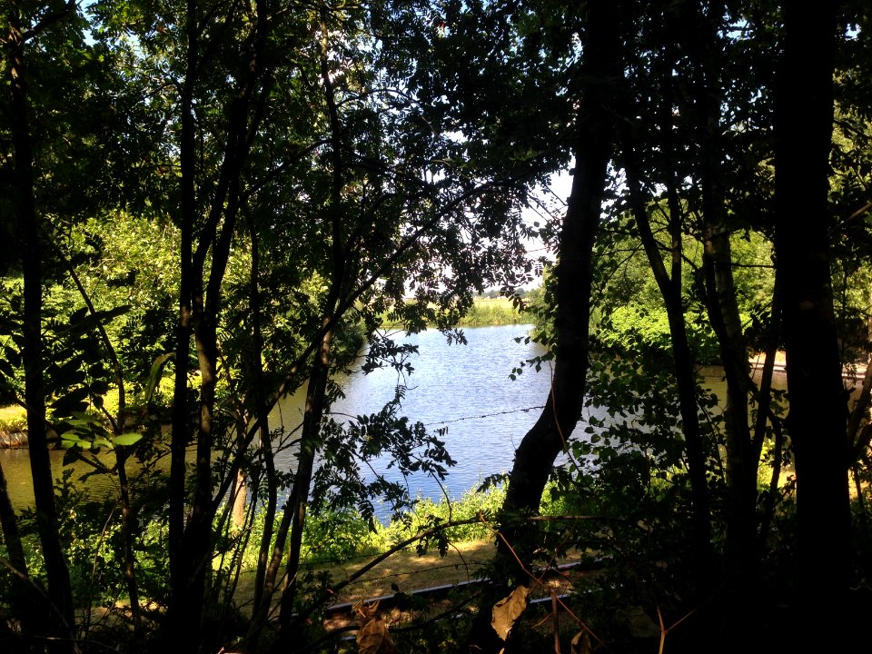Veenpark natuur - 9