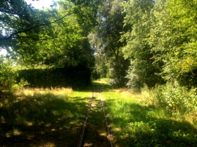 Veenpark trein - 6