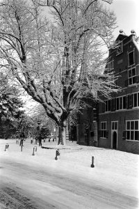 Veel sneeuw dit weekend in Nederland, beeld in de buurt van Leidschendam, Bestanddeelnr 931-1921