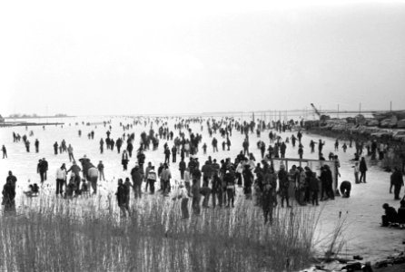 Veel schaatsers op Gouwzee, Bestanddeelnr 925-3484