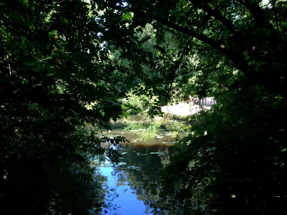 Veenpark natuur - 3