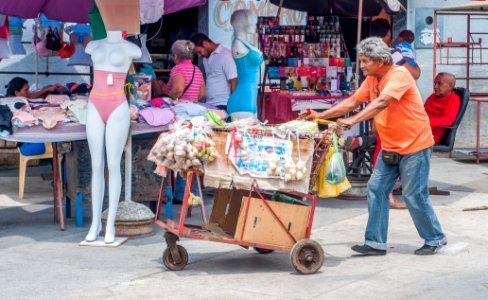 Vegetable Seller 33