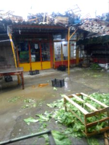 Vegetable Store - Panjrah - Nishapur 5