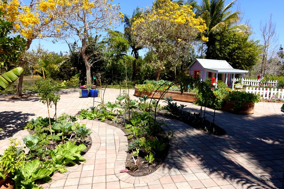 Vegetable Gardening - Naples Botanical Garden - Naples, Florida - DSC09623