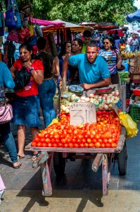 Vegetable Seller 3 photo