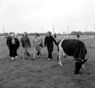 VCJC kamp Vinkeveen, Bestanddeelnr 904-0810