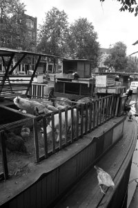 Veestapel op woonboot in Prinsengracht Amsterdam, Bestanddeelnr 924-8121