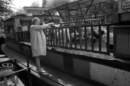 Veestapel op woonboot in Prinsengracht Amsterdam, dieren worden gevoederd, Bestanddeelnr 924-8118