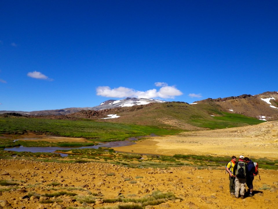 Vegetated Area near old Copahue Crater