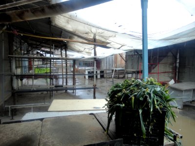 Vegetable Store - Panjrah - Nishapur 4