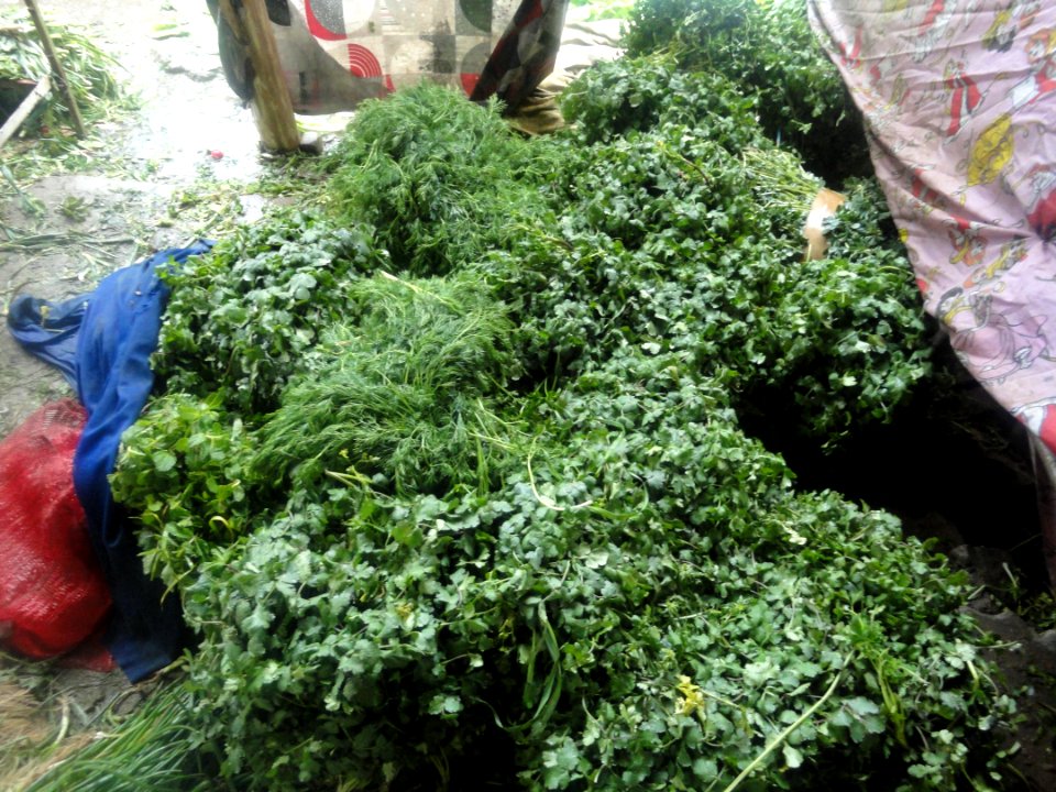 Vegetable Store - Panjrah - Nishapur 3