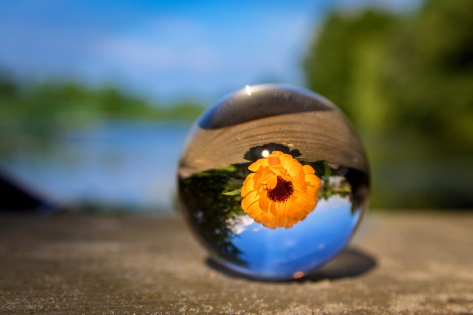 Glass ball nature clear