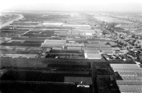 Veertienjarige Heintje ontvangt gouden platen in vliegtuig. Luchtfoto van Aalsme, Bestanddeelnr 923-2875