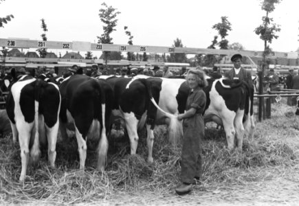 Veetentoonstelling te Sneek, Bestanddeelnr 902-7599