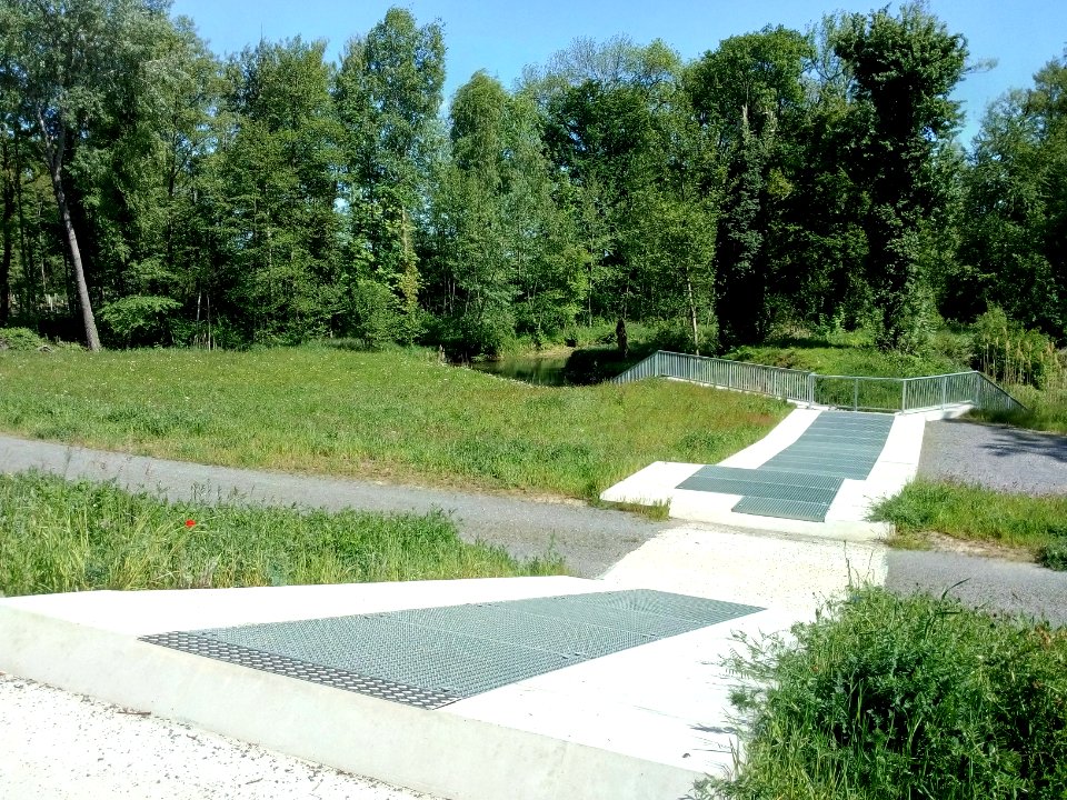 Verbindung Altrhein Insel Rott - Mittelgrümdsloch - Rheinniederungskanal, Durchlass Rheindamm