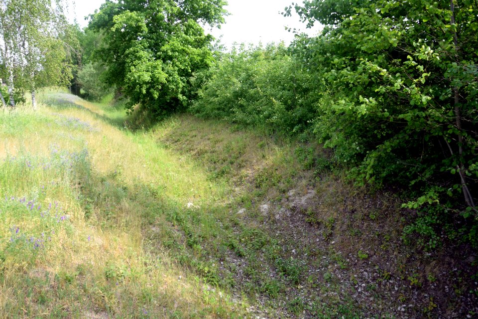 Verbindung Östlicher Gehrenseeteich zum Gehrensee (Berlin-Falkenberg)