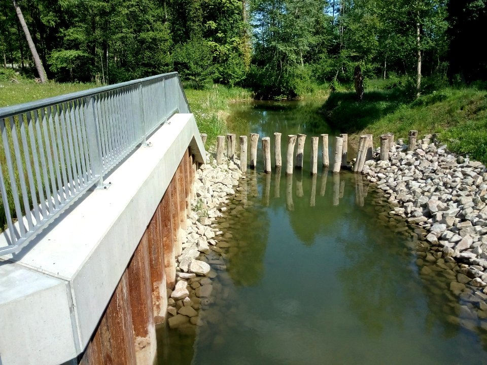 Verbindung Altrhein Insel Rott - Mittelgrümdsloch - Rheinniederungskanal, Durchlass Rheindamm, Binnenseite