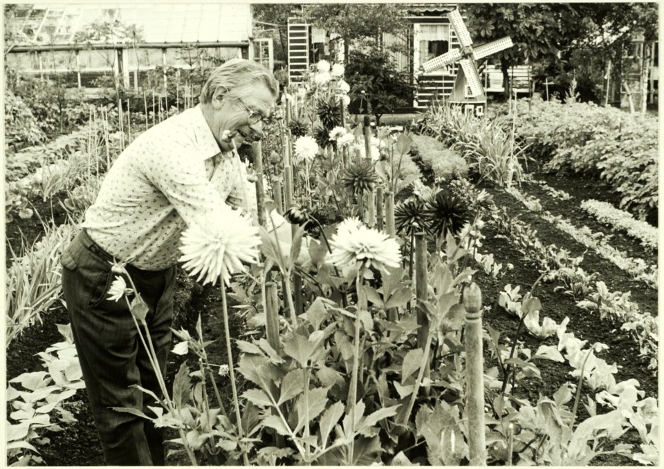 Veldt, J. van der, NL-HlmNHA 5400465190