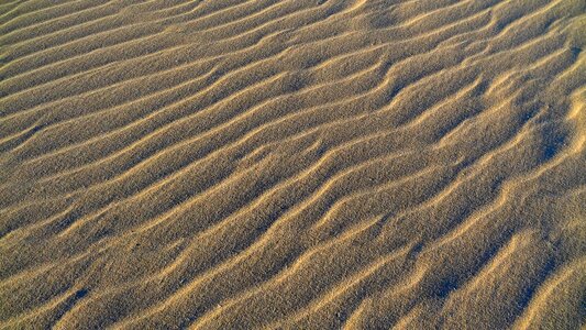 Beach fuerteventura canary islands