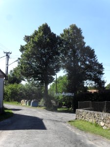 Velešice u Pačejova 23
