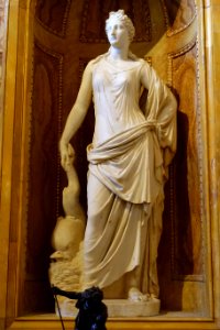 Venus with dolphin, Roman, Hadrianic period, 117-138 AD with modern head, based on a Hellenistic Aphrodite, marble - Galleria Borghese - Rome, Italy - DSC04722