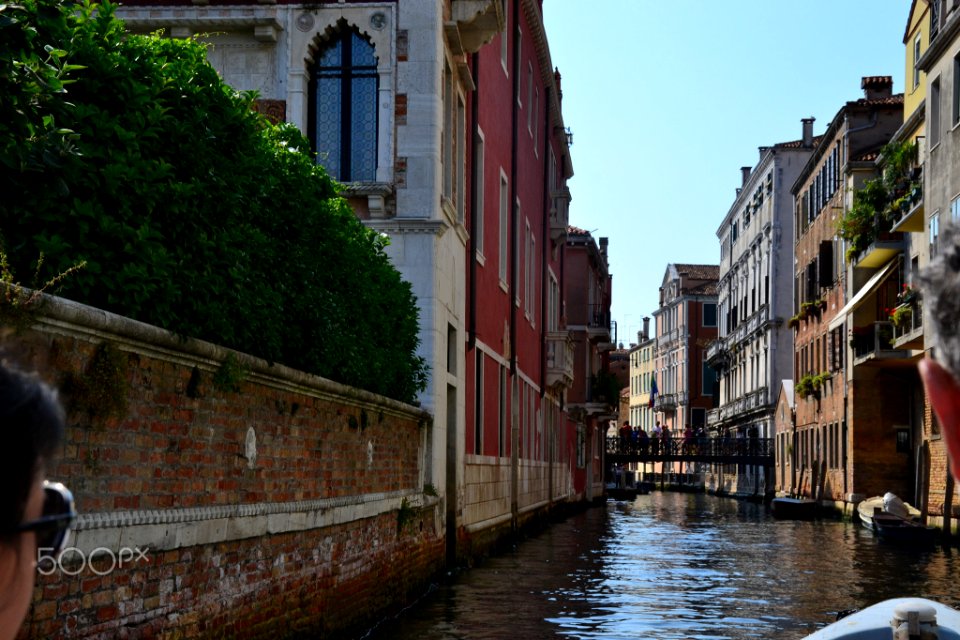 Venice Is My Future (161254575)
