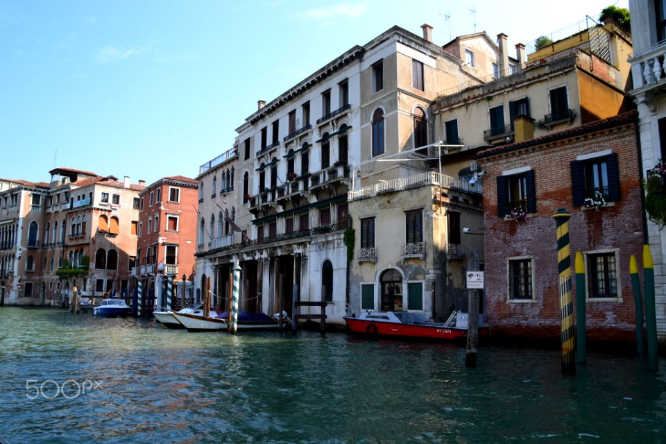 Venice Is My Future (161264981)