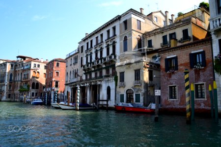 Venice Is My Future (161264981)