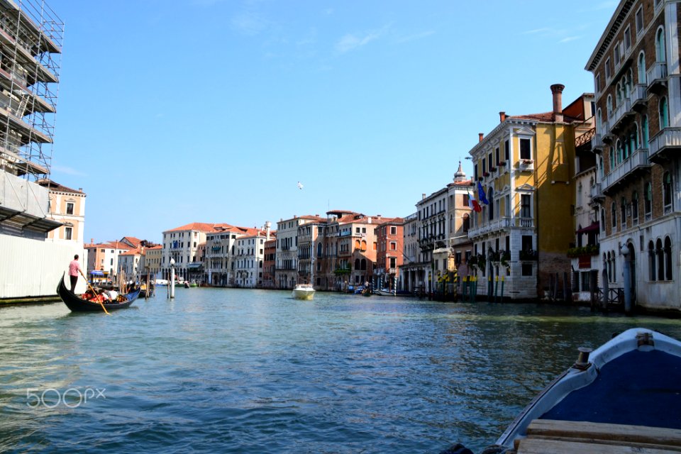 Venice Is My Future (161264977)