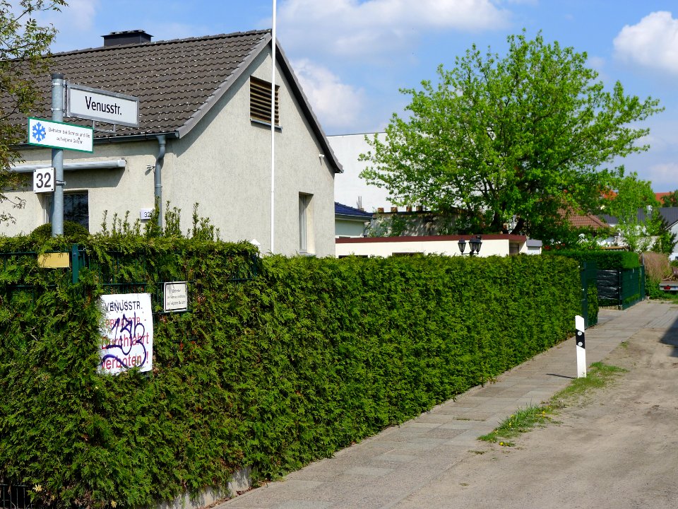 Venusstraße (Berlin-Reinickendorf)