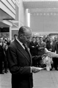 Ver Ornithophila bood burgemeester Ranits van Utrecht 250 leghennen aan voor do, Bestanddeelnr 915-6230