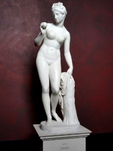 Venus with the Apple - Thorvaldsens Museum - DSC08672 photo
