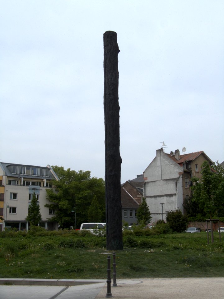 Vera Röhm – Licht-Strahl-Eiche – 2018 by DaB