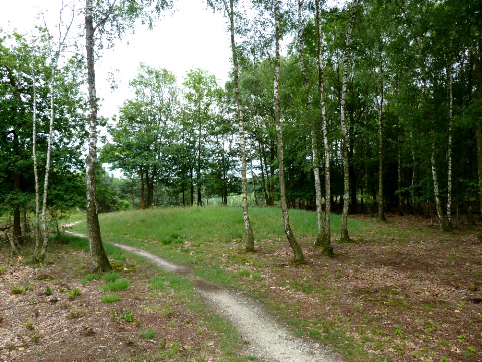 Venlo-Grafheuvels Jammerdaalse Heide-heuvel b