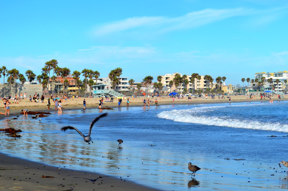 Venice Beach, Los Angeles, CA 10