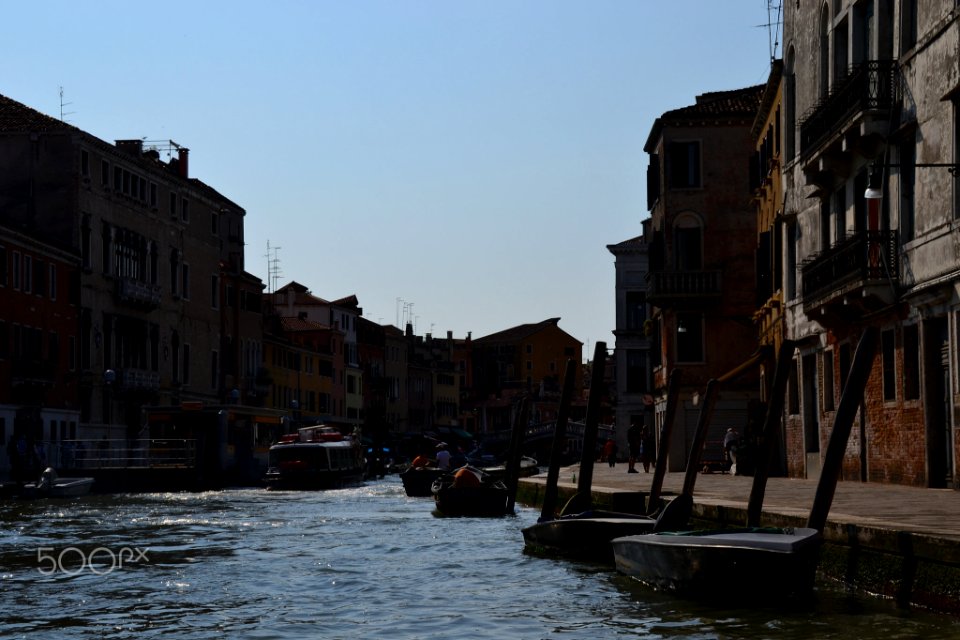 Venice Is My Future (161249083)