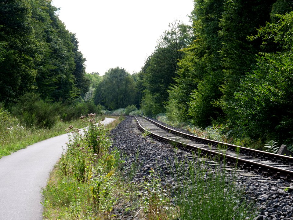 Vennbahn in September 2019 16