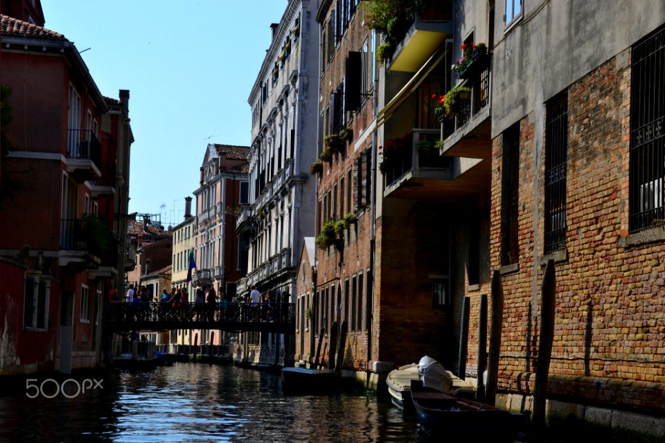 Venice Is My Future (161254927)