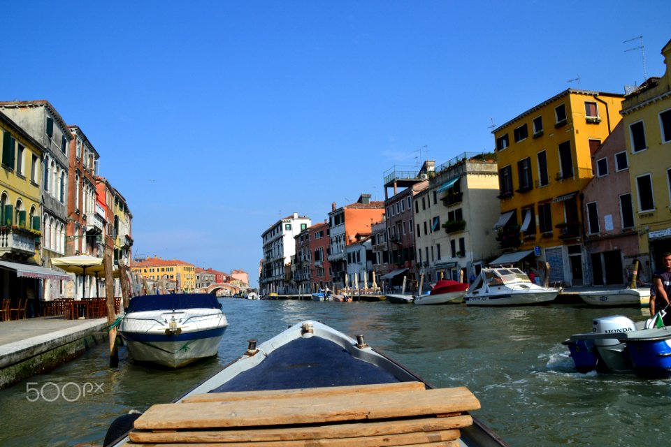 Venice Is My Future (161249081)
