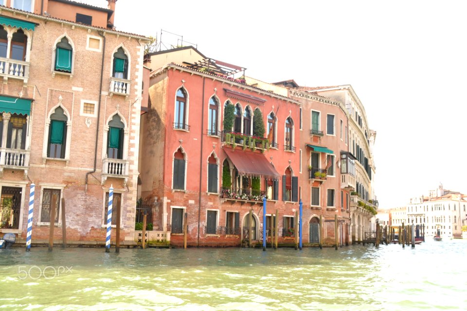 Venice Is My Future (161259909)