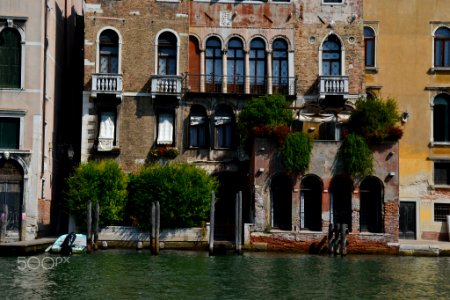 Venice Is My Future (161264023)