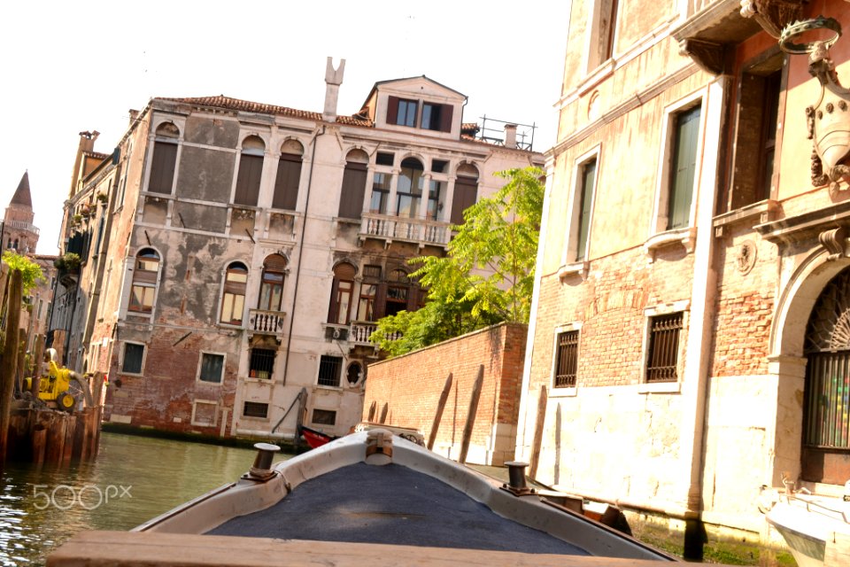 Venice Is My Future (161256279)