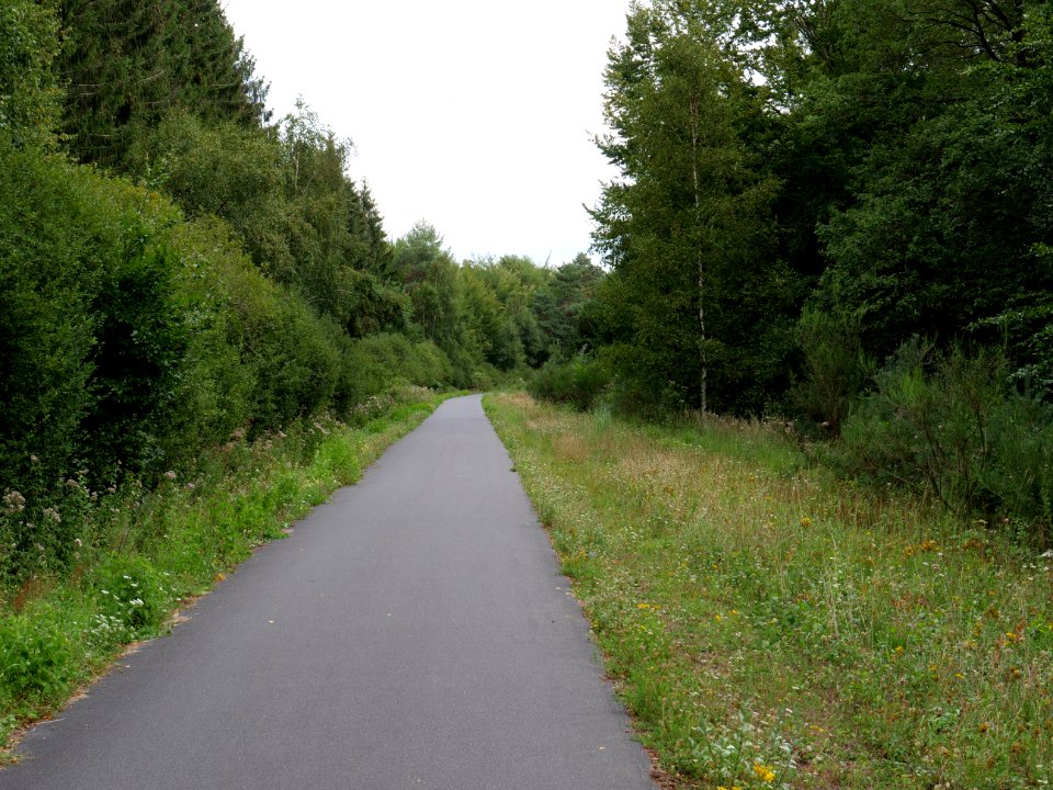 Vennbahn in September 2019 32