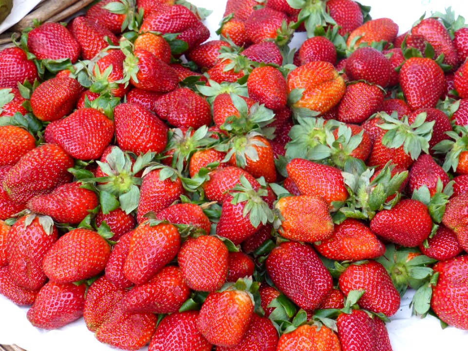 Delicious fresh healthy