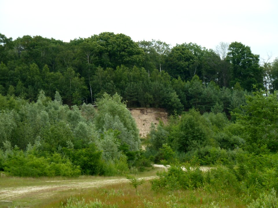 Venlo-Grafheuvels Jammerdaalse Heide (1)